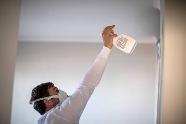 Best Mold Remediation  in Waveland, MS