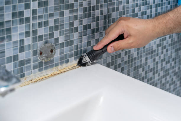 Best Toxic Mold Removal  in Waveland, MS